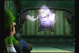 luigi'smansion3.jpg (5594 bytes)