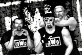 nwo.jpg (8539 bytes)